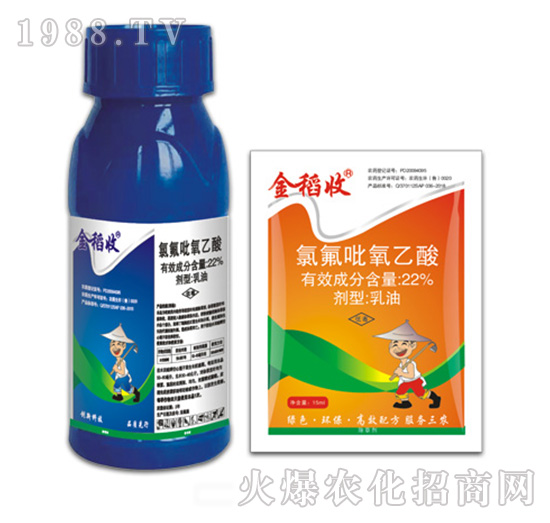 22%�ȷ���������-����-�ݵ�˹