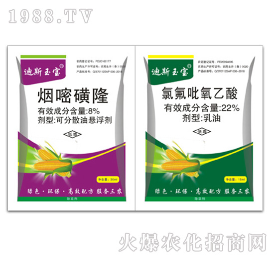 ���׻�¡+�ȷ���������-��˹��-�ݵ�˹