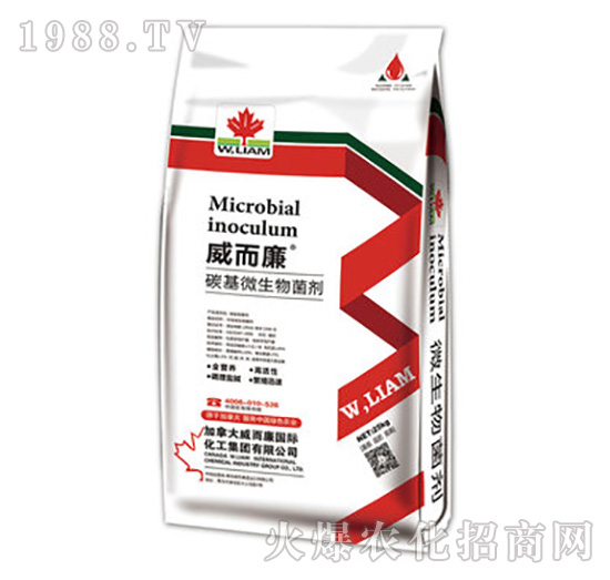 ̼��΢�������-������