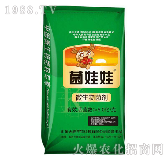 40kg΢�������-������-��������