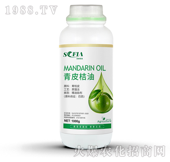 ��Ƥ����-���Ɓ�