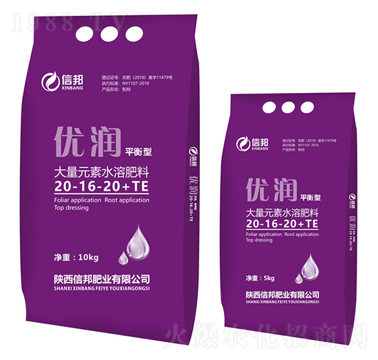 ƽ���ʹ���Ԫ��ˮ�ܷ�-��(y��u)��(r��n)-�Ű�ʘI(y��)