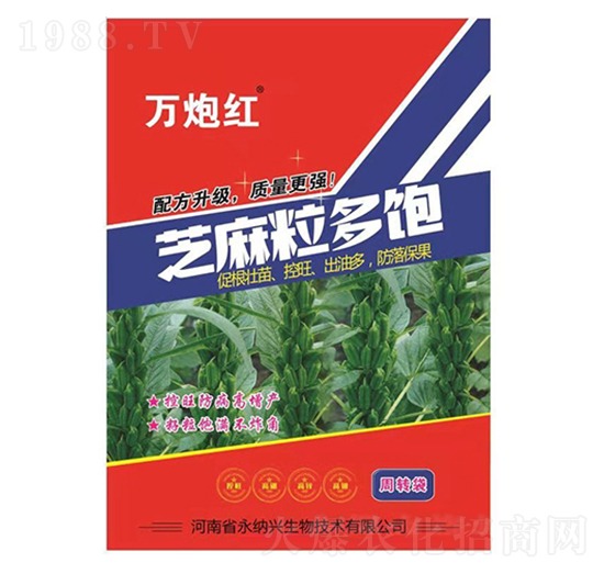 ֥�������-�f(w��n)�ڼt-���{�d