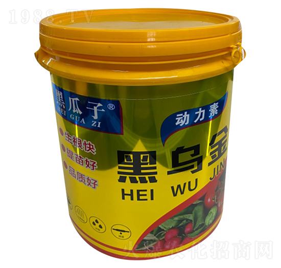 �ڞ���-�ڹ���-�µ����