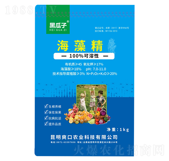 海藻精-黑瓜子-新稻香村