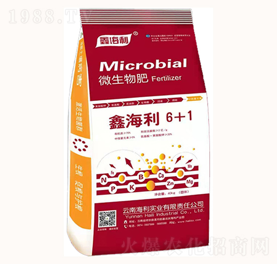 ΢�����-�κ���6+1-�������I(y��)