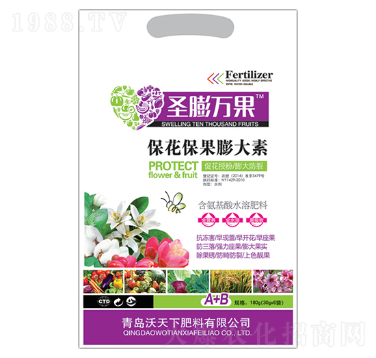 �������������-ʥ���f��-������