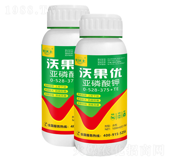 �������0-528-375+TE-�ֹ���(y��u)-�²��r(n��ng)�I(y��)