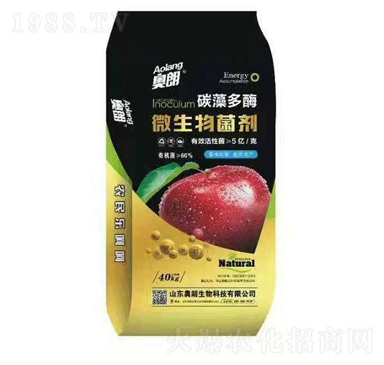 ̼���ø΢�������-�W������