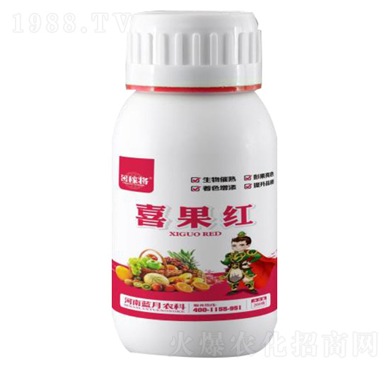 ϲ���t-��ڌ�-�{���r��