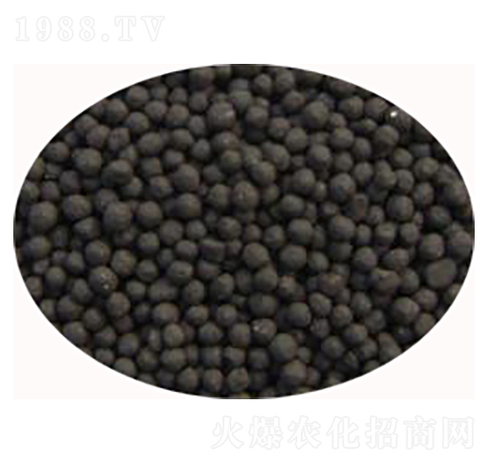 ʯ���f�������-���S����