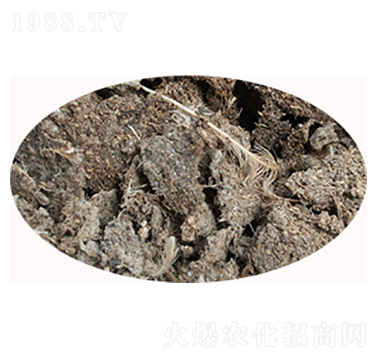 �u�S�ЙC�ʃr��-���S����