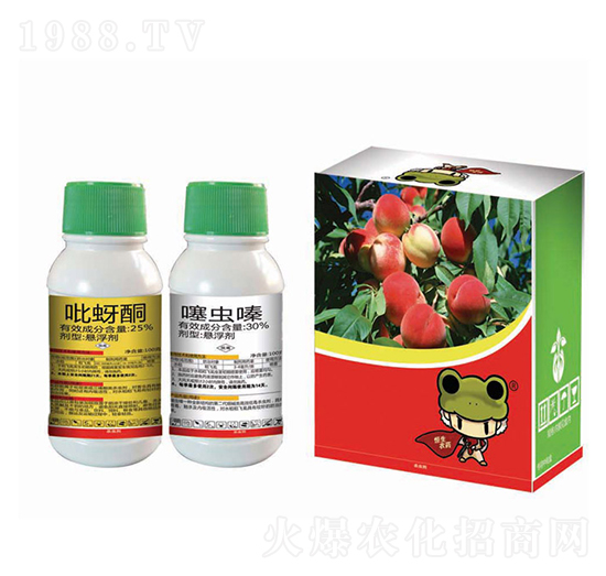 25%����ͪ+30���x�-����(����1+1)-�����rˎ