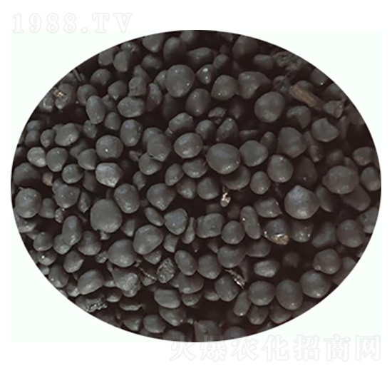 �ЙC(j��)���ϣ��w����-���|�ʘI(y��)