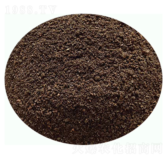 �l(f��)���u�S�ۄ�-���|�ʘI(y��)