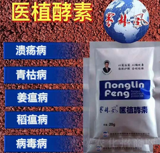 �t(y��)ֲ����-�r���L-��S��