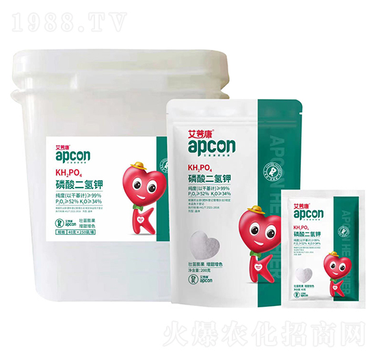 ��������-���տ�-��������