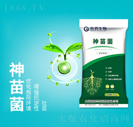 �����-Ǭ������