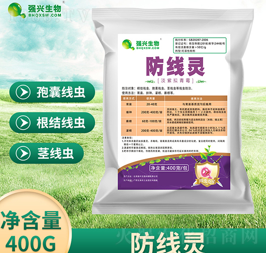 防線(xiàn)靈淡紫擬青霉-強(qiáng)興生物