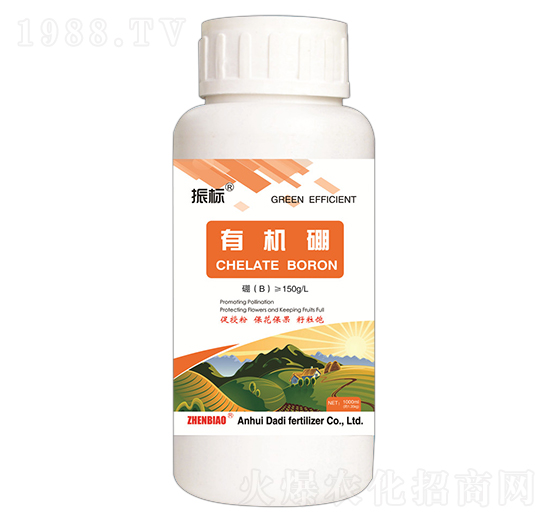 �ЙC��-���-��ػ���