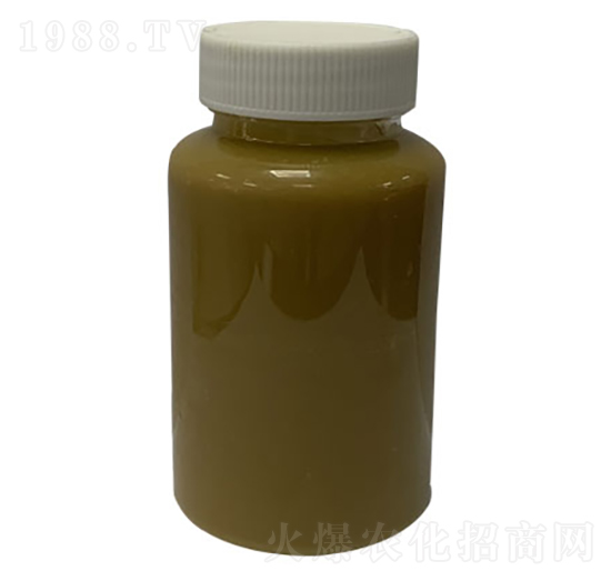 ���Y�K���̈́�-�S������