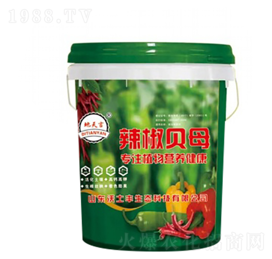 辣椒貝母-沃土豐