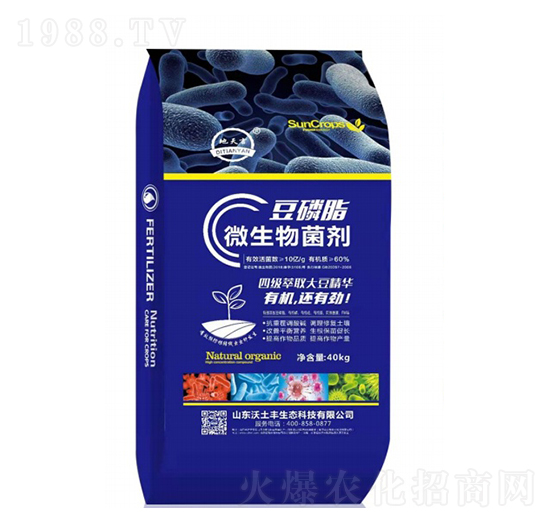 ����֬΢�������-�����S