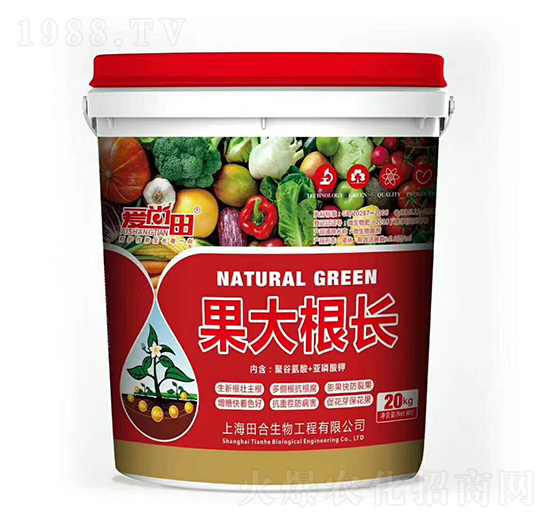 ��(��i)���������L(zh��ng)-�������