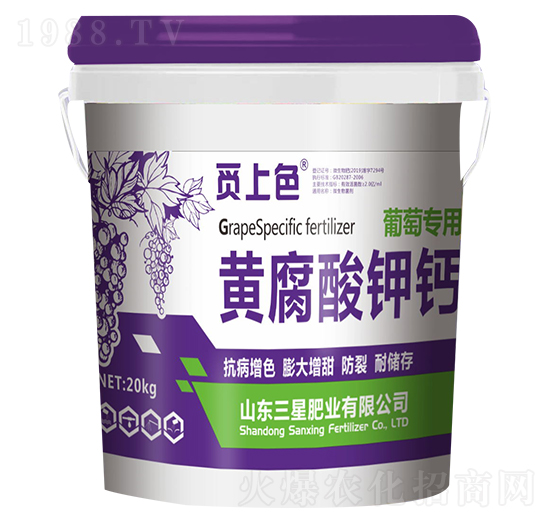 ���ь����S������}-Ғ��ɫ-���ǷʘI(y��)