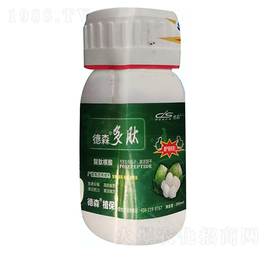 ��ɭ������-��ɭ