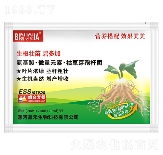 生根壯苗碧多加-鑫禾生物