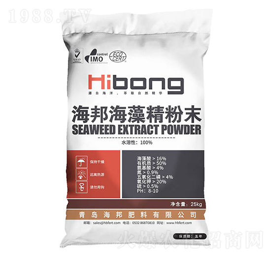 ���徫��ĩ-�������