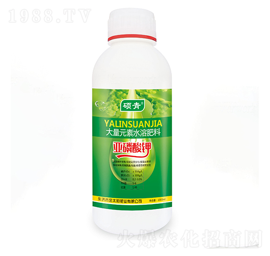 �������-�������