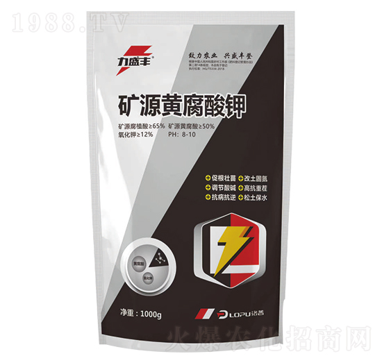 �VԴ�S�����-����