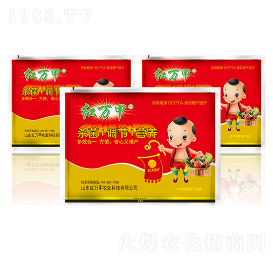 ���｡�����a(ch��n)�ײ�-�t�f��