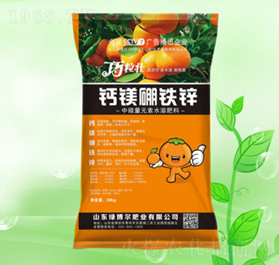 �}�i���\�F-������-�G�����ʘI(y��)