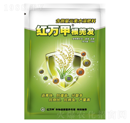 含微量元素水溶肥料-根蔸發(fā)-紅萬(wàn)甲