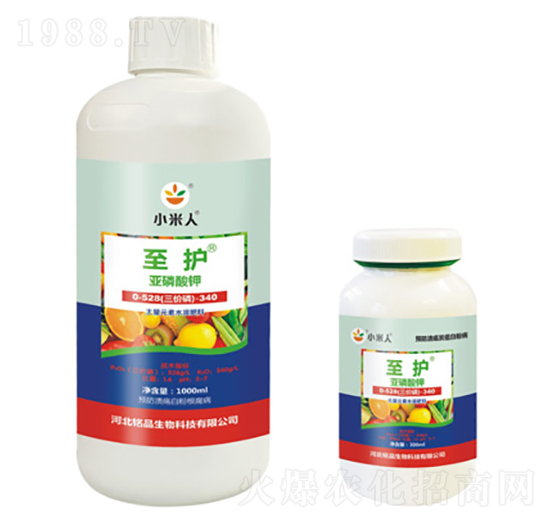 ƿ�b���o�������-С����-�Ʒ����