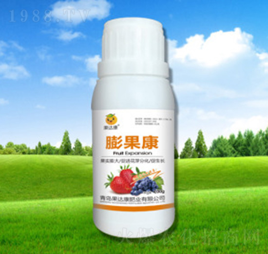 �����-���_(d��)���ʘI(y��)