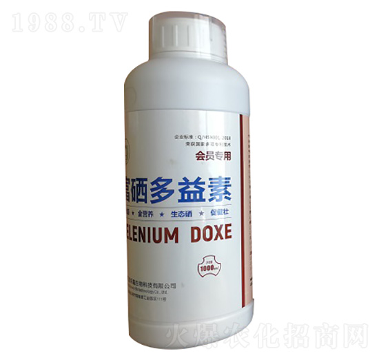 ����������-�R�̝�(r��n)��