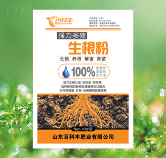 ������-�ٿ��S