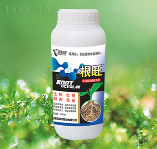 ����-�ٿ��S