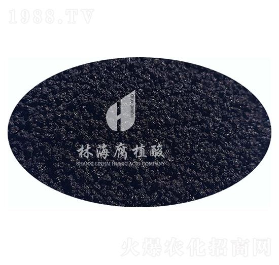 ������ֲ��-�ֺ���ֲ��