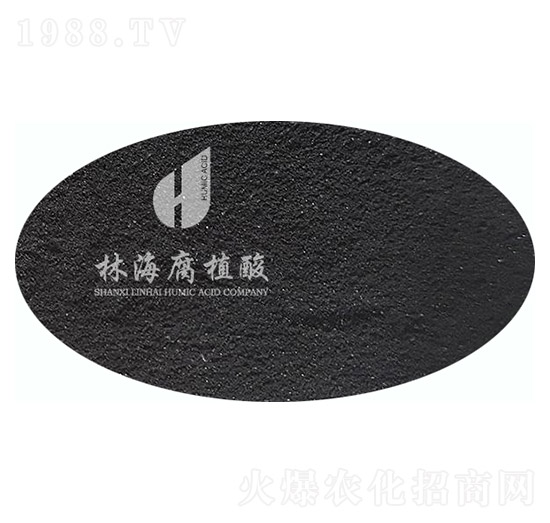 �S�����\-�ֺ���ֲ��