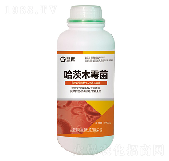 ����ľù��-�n�h����