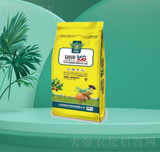 ���168-�㶦����