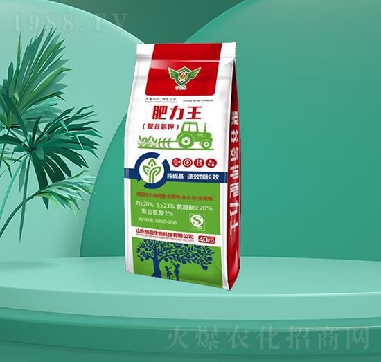 �۹Ȱ��-������-�㶦����