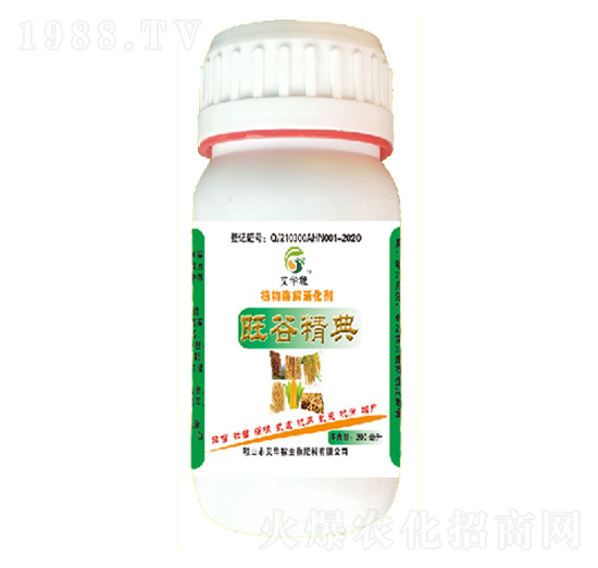 ֲ��ø����-���Ⱦ���-���A��