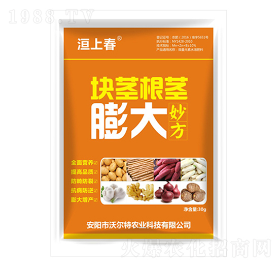 �K�o���o���-�֠���