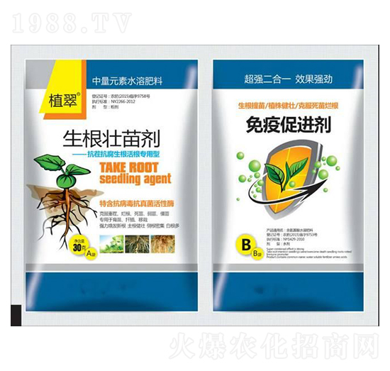 �������焩-�����S